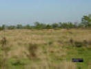 Photo of a Dry Prairie.
