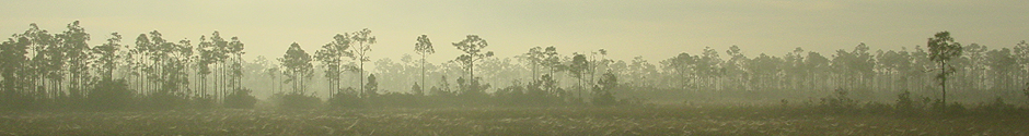Floridasnature.com
